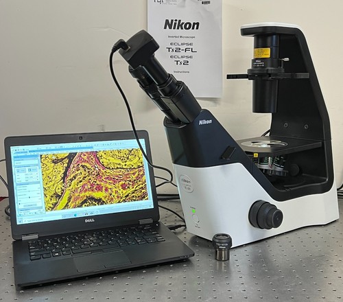 Nikon microscopio a - nikon, ts